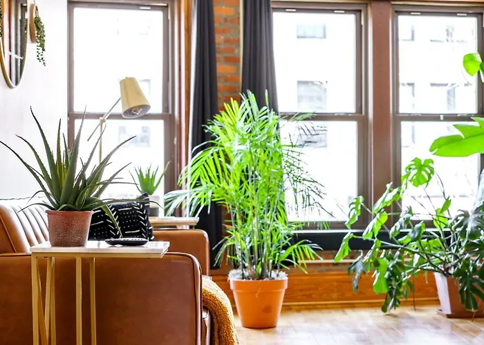 Jungle House Luxury Lofts - Short North High Street