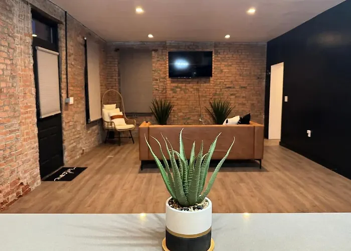 Jungle Jive By Jungle House Walk To High Street Downtown & Short North 5 800 Reviews Free Parking Near Convention Center Nationwide Arena & Ohio State
